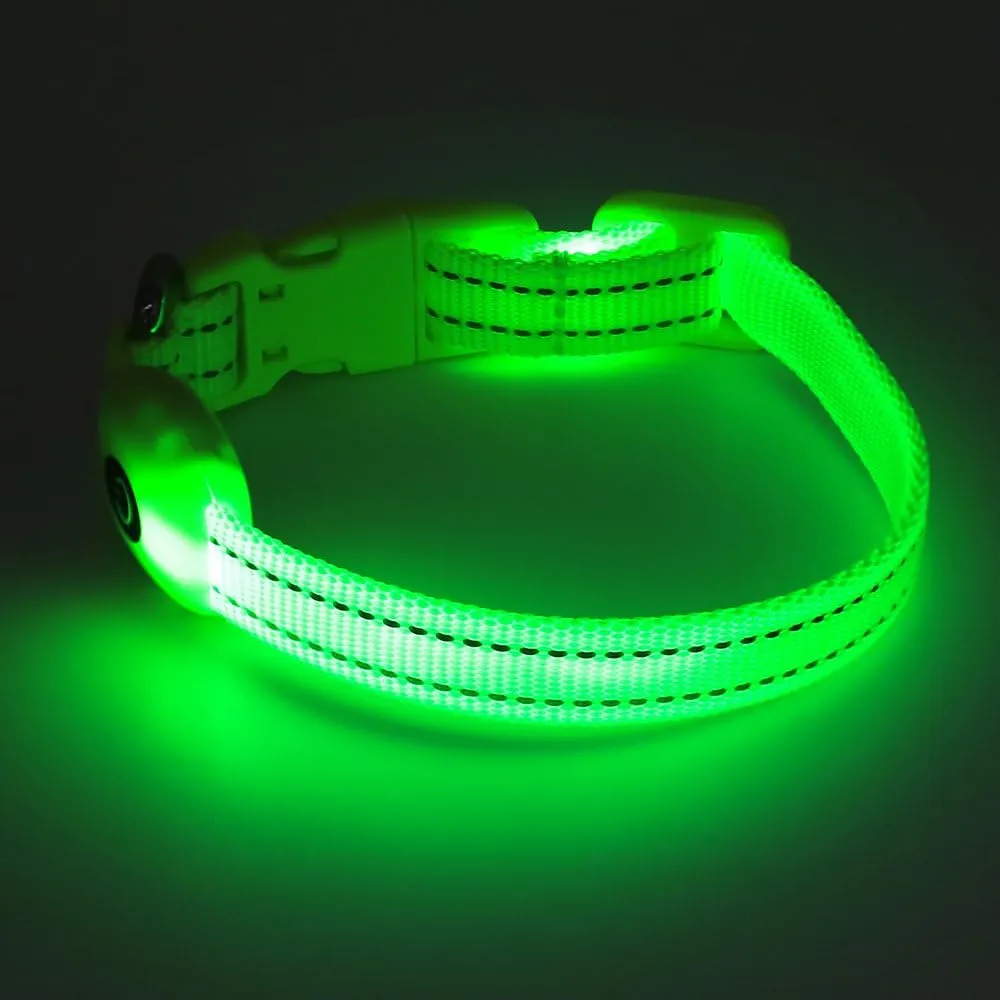 Candofly Light Up Dog Collar - LED Dog Collar Rechargeable - Glowing Puppy Collar Dog Lights for Night Walking (X-Small, Neon Green)