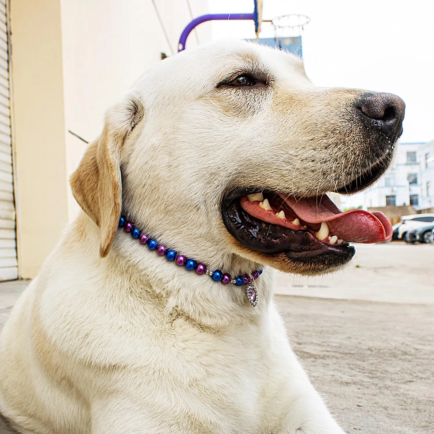 Dog Cat Collar Pearl Necklace, Purple and Blue Beads with Shiny Rhinestone Diamond Pendant and Silver Beads, Adjustable Puppy Jewelry for Medium Large Pet, L 14IN