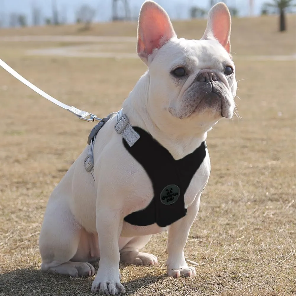 FEimaX Dog Harness Pet X Frame No Pull Step-in Harnesses with Leash Set, Adjustable Reflective Choke Free Puppy with Padded Vest for Small, Medium Dogs and Cats Walking Training