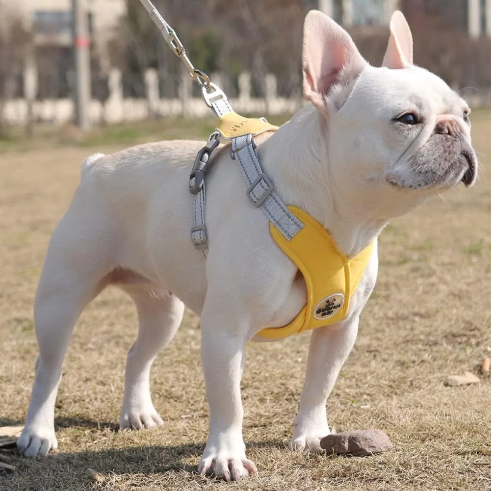 FEimaX Dog Harness Pet X Frame No Pull Step-in Harnesses with Leash Set, Adjustable Reflective Choke Free Puppy with Padded Vest for Small, Medium Dogs and Cats Walking Training