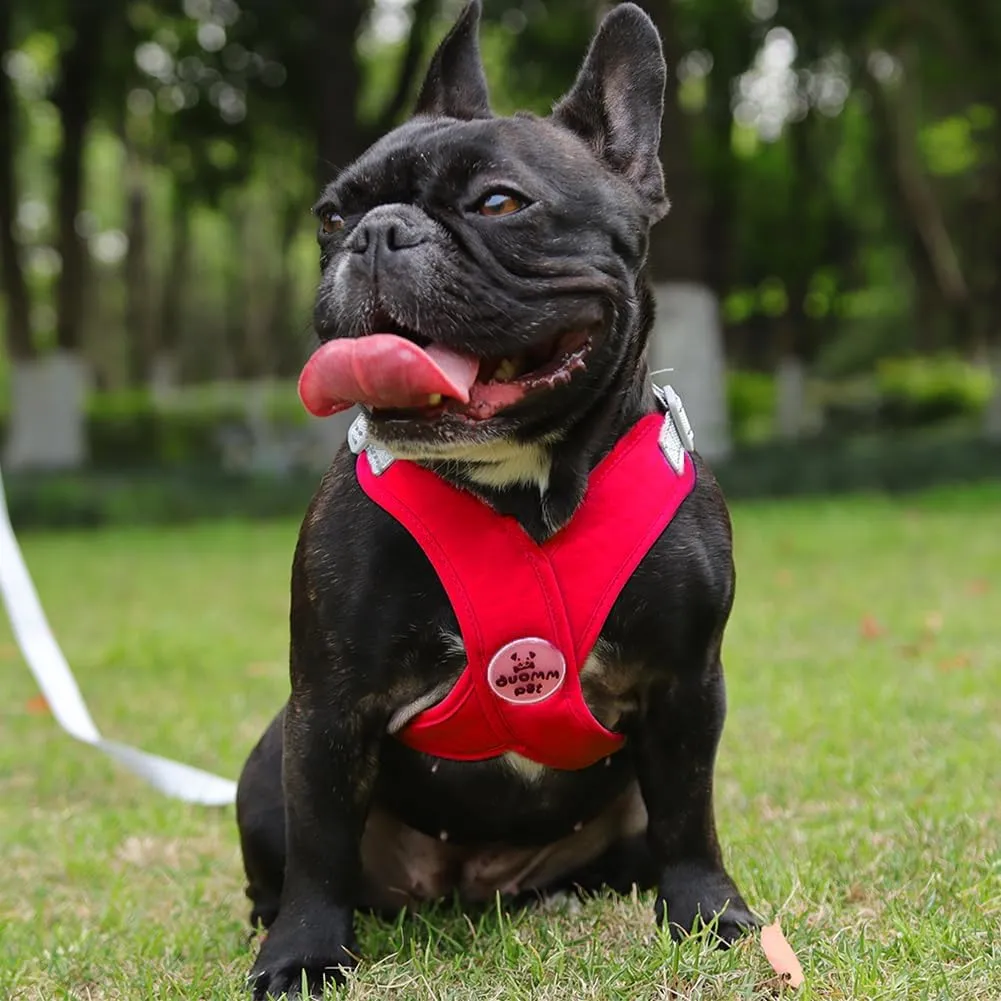 FEimaX Dog Harness Pet X Frame No Pull Step-in Harnesses with Leash Set, Adjustable Reflective Choke Free Puppy with Padded Vest for Small, Medium Dogs and Cats Walking Training