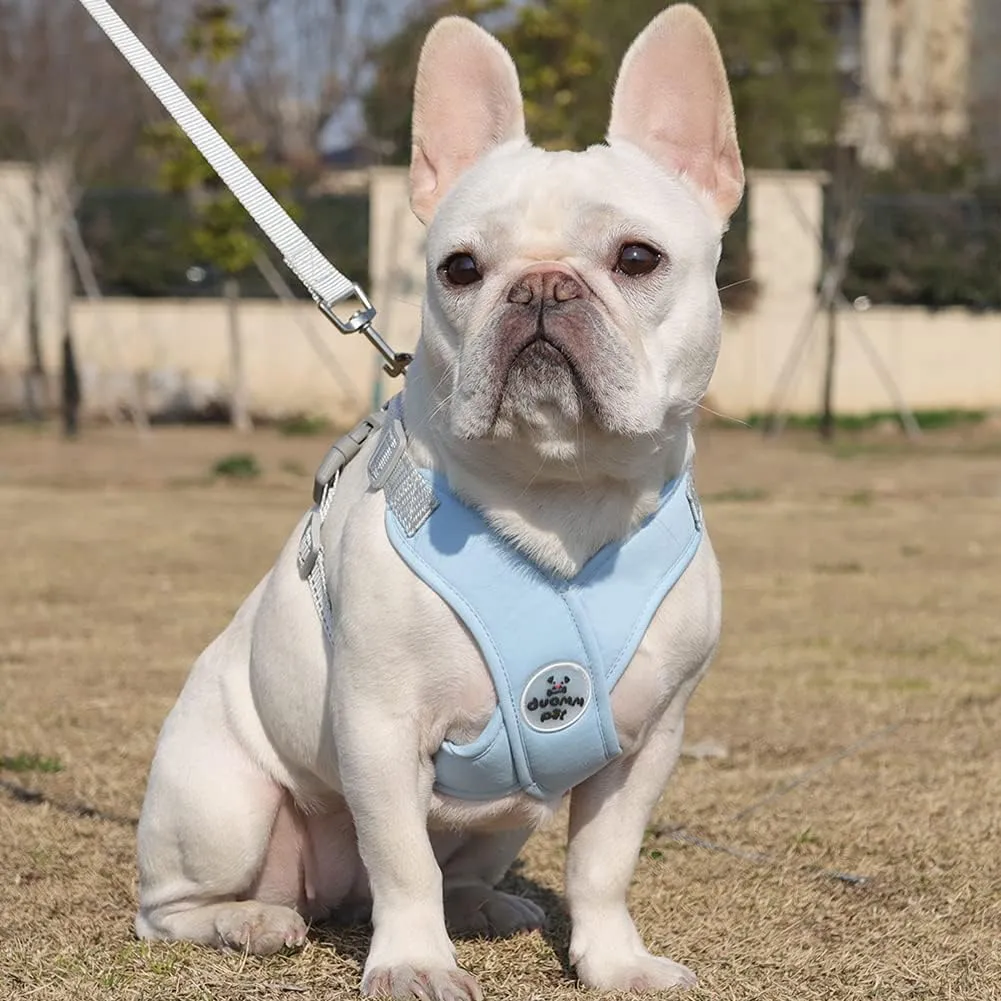FEimaX Dog Harness Pet X Frame No Pull Step-in Harnesses with Leash Set, Adjustable Reflective Choke Free Puppy with Padded Vest for Small, Medium Dogs and Cats Walking Training