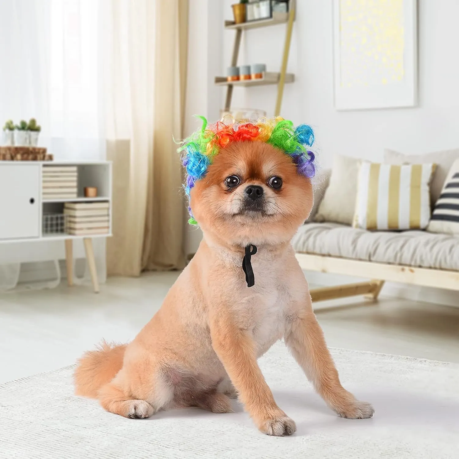 Funny Dog Cat Cosplay Wig, Headwear Apparel Toy, Pet Costumes, Cat Dress up for Halloween, Christmas, Parties, Festivals, Dog Wigs for Small Medium and Large Dogs (Colorful Clown Hair)