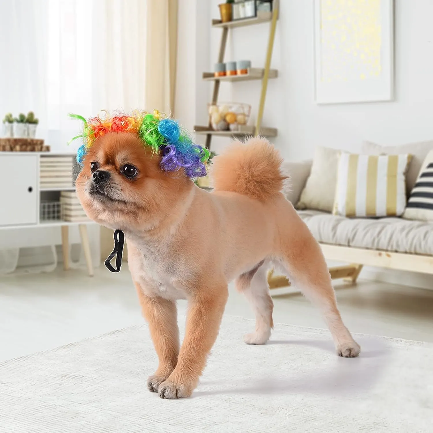 Funny Dog Cat Cosplay Wig, Headwear Apparel Toy, Pet Costumes, Cat Dress up for Halloween, Christmas, Parties, Festivals, Dog Wigs for Small Medium and Large Dogs (Colorful Clown Hair)