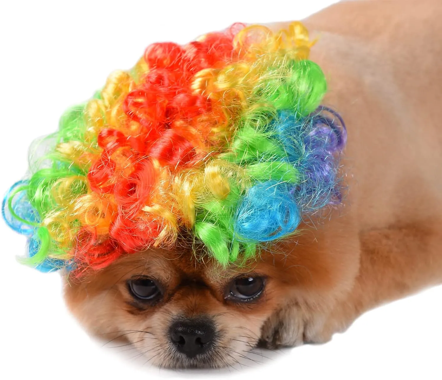 Funny Dog Cat Cosplay Wig, Headwear Apparel Toy, Pet Costumes, Cat Dress up for Halloween, Christmas, Parties, Festivals, Dog Wigs for Small Medium and Large Dogs (Colorful Clown Hair)
