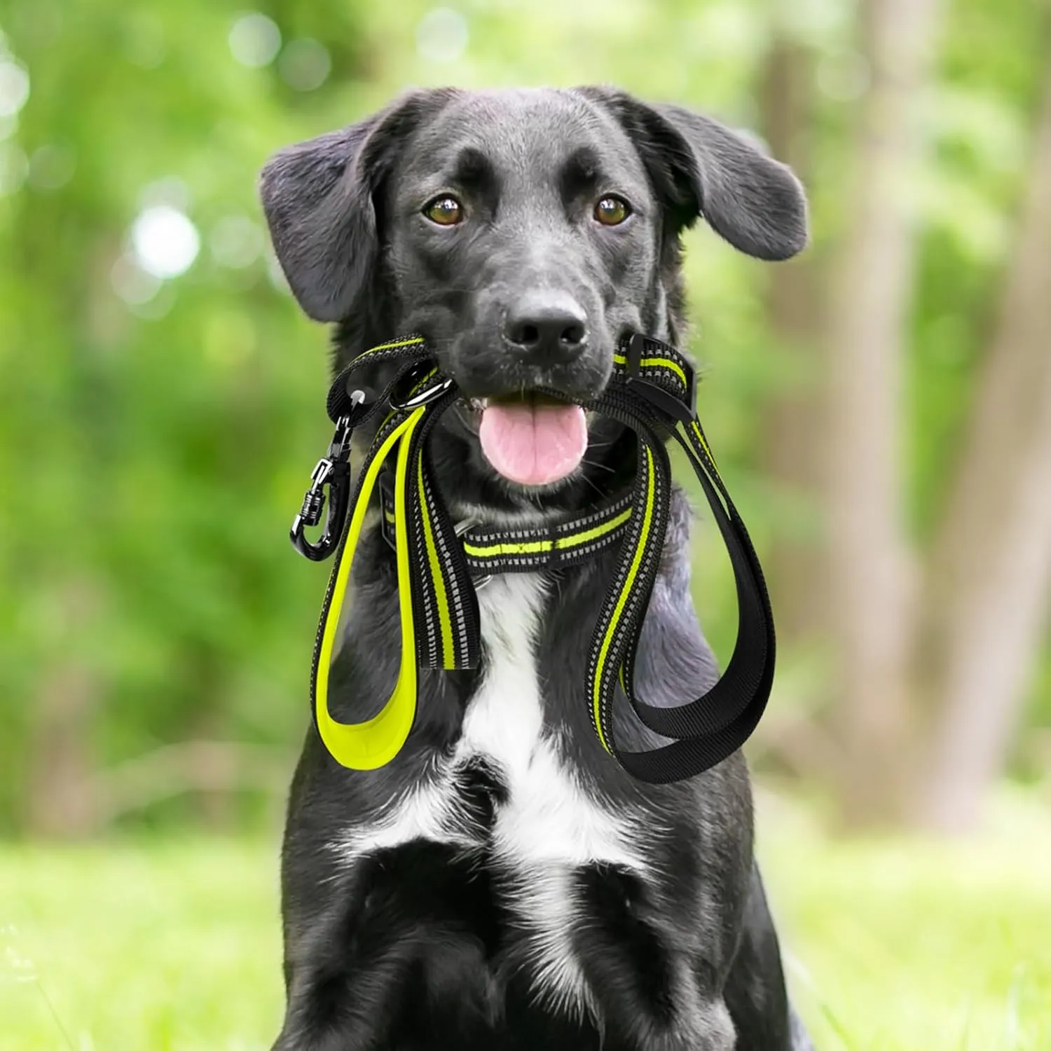 HIGO Reflective Dog Collar and Leash Set for Large Dog, Nylon Webbing Pet Collar& Leash with Neoprene Padded, Adjustable Basic Dog Collar and Leash, Safety Dog Accessories for Night Walking (Green, L)