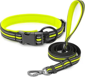 HIGO Reflective Dog Collar and Leash Set for Large Dog, Nylon Webbing Pet Collar& Leash with Neoprene Padded, Adjustable Basic Dog Collar and Leash, Safety Dog Accessories for Night Walking (Green, L)