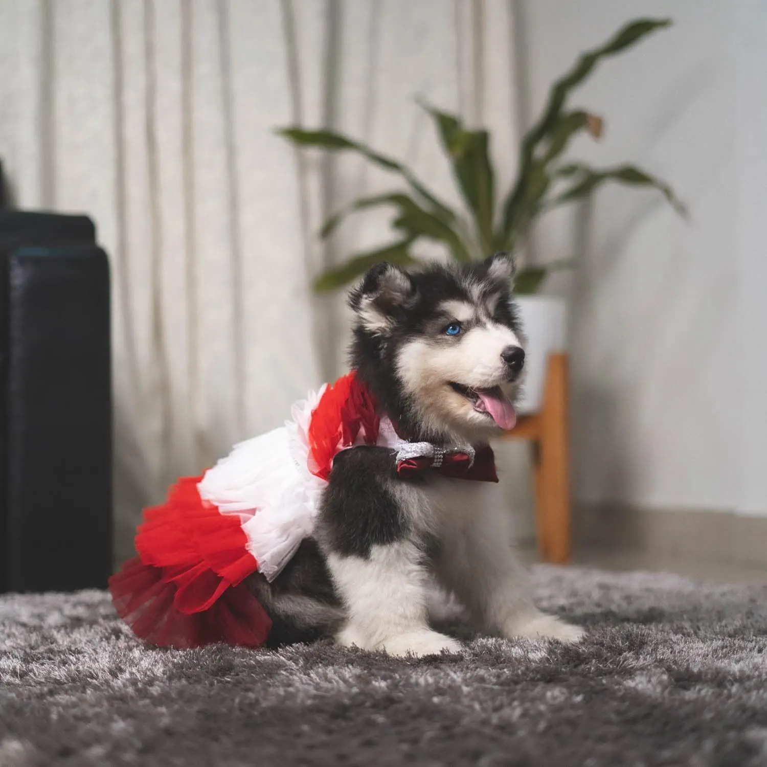Lovely Dog Bandana Collection: Medium & Large Dog & Cat Cloths in L Red