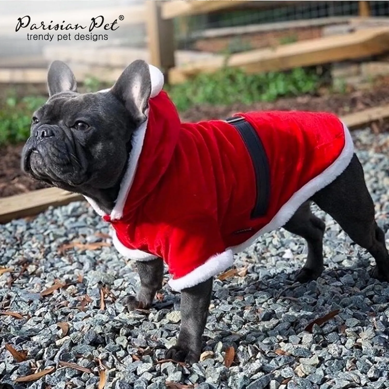 Parisian Pet Dog Santa Hoodie - Santa Claus Dog Christmas Outfit  Xmas Holiday Dog Hoodie  Winter Dog Christmas Sweater with Hoodie  Soft Velvet Christmas Dog Clothes for Small Dogs - S