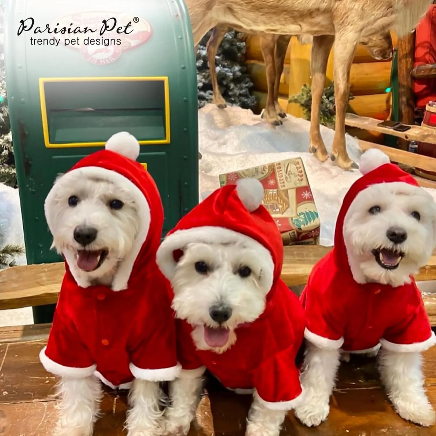 Parisian Pet Dog Santa Hoodie - Santa Claus Dog Christmas Outfit  Xmas Holiday Dog Hoodie  Winter Dog Christmas Sweater with Hoodie  Soft Velvet Christmas Dog Clothes for Small Dogs - S