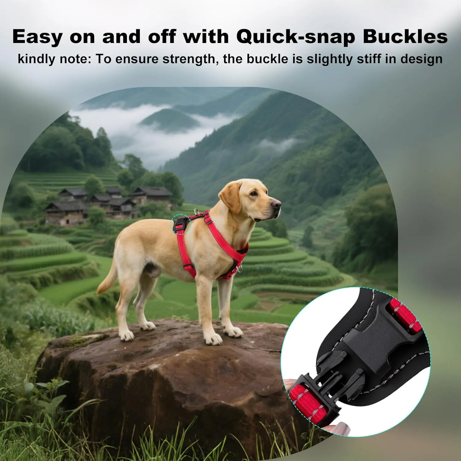 Plutus Pet Adjustable No Pull Dog Harness with Leather Accents, Heavy Duty Reflective Nylon Vest for Training, Hiking, Easy Walk Harness for Small, Medium, Large Dogs (Red, M)