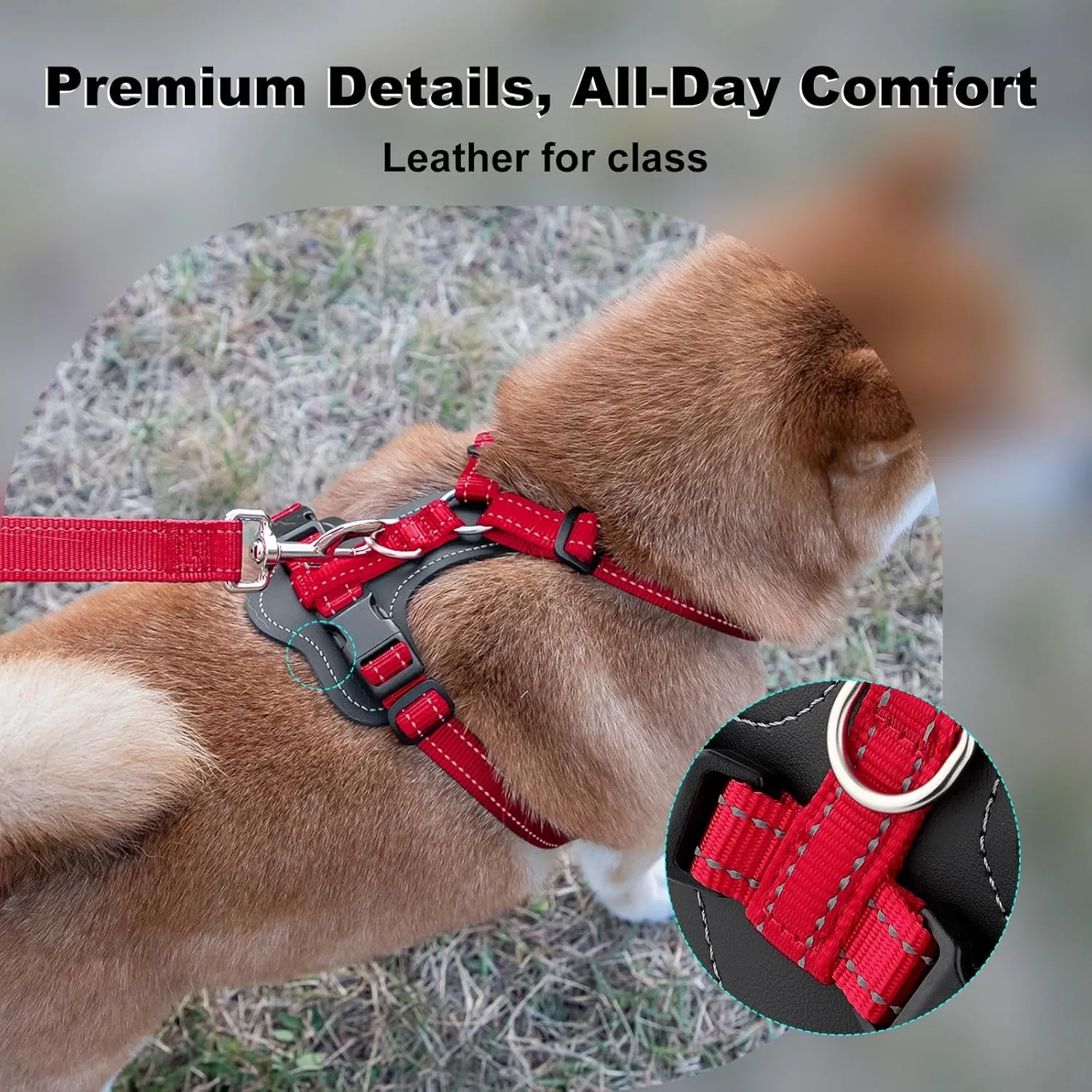 Plutus Pet Adjustable No Pull Dog Harness with Leather Accents, Heavy Duty Reflective Nylon Vest for Training, Hiking, Easy Walk Harness for Small, Medium, Large Dogs (Red, M)