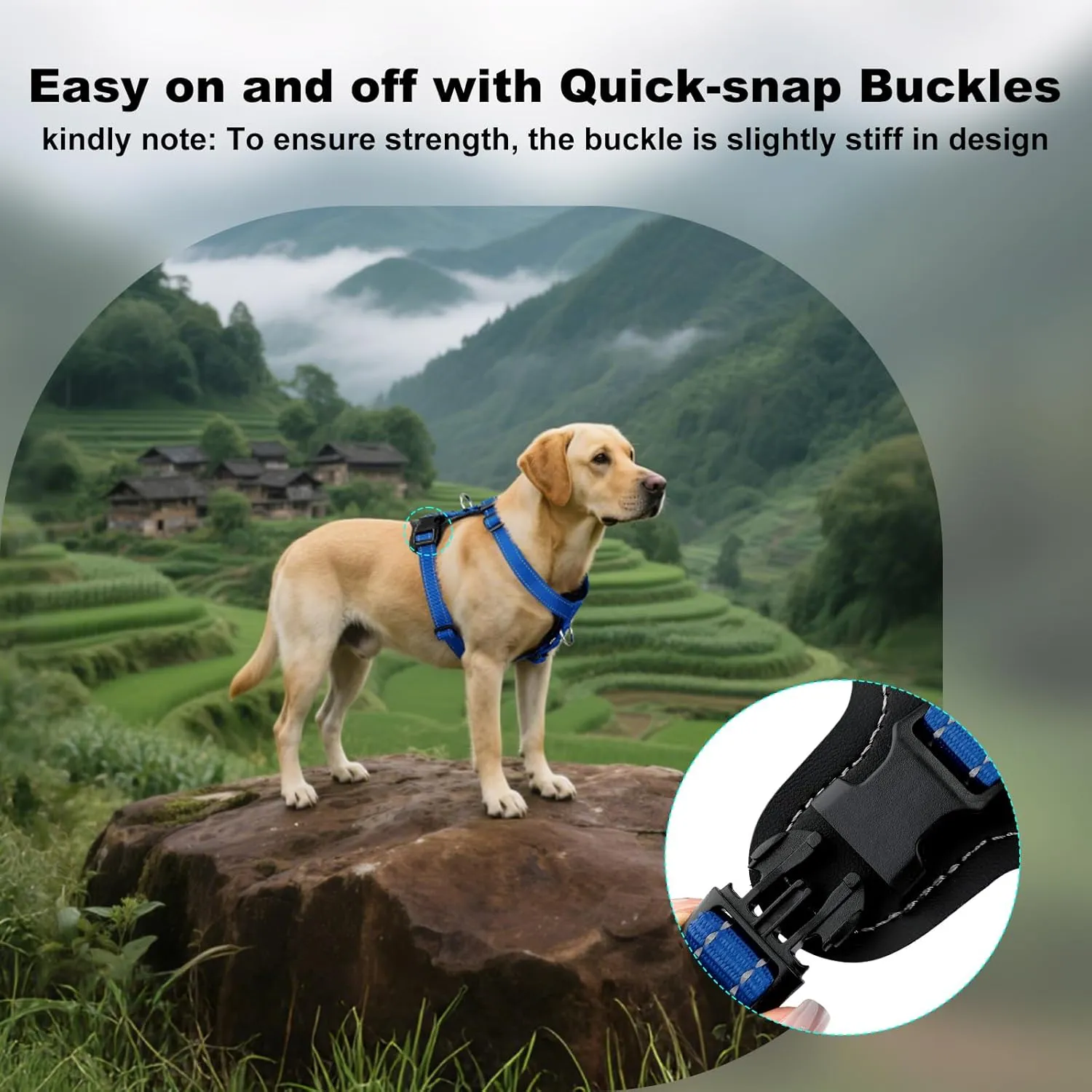 Plutus Pet Adjustable No Pull Dog Harness with Leather Accents, Heavy Duty Reflective Nylon Vest for Training, Hiking, Easy Walk Harness for Small, Medium, Large Dogs (Royal Blue, L)