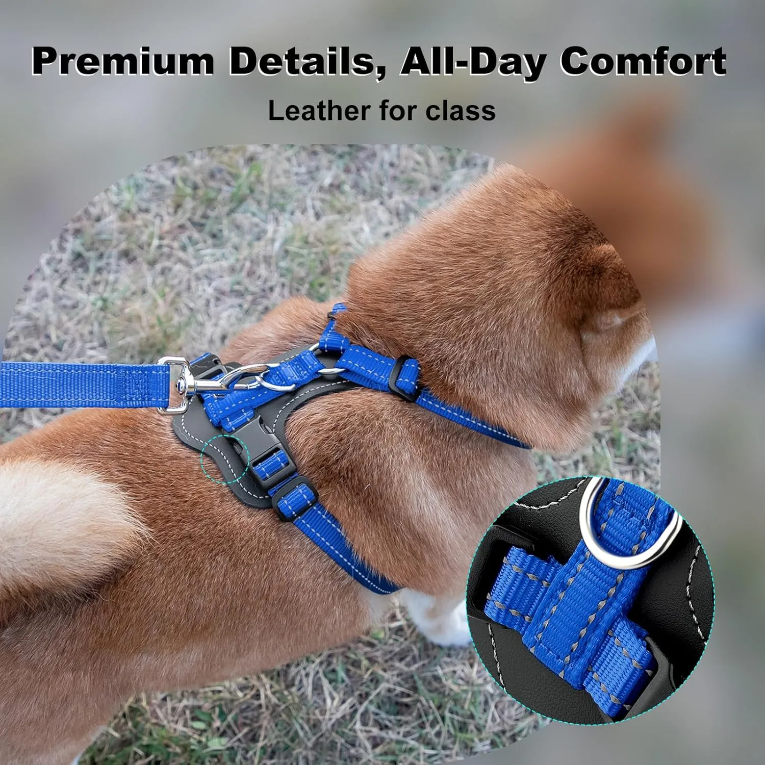 Plutus Pet Adjustable No Pull Dog Harness with Leather Accents, Heavy Duty Reflective Nylon Vest for Training, Hiking, Easy Walk Harness for Small, Medium, Large Dogs (Royal Blue, L)