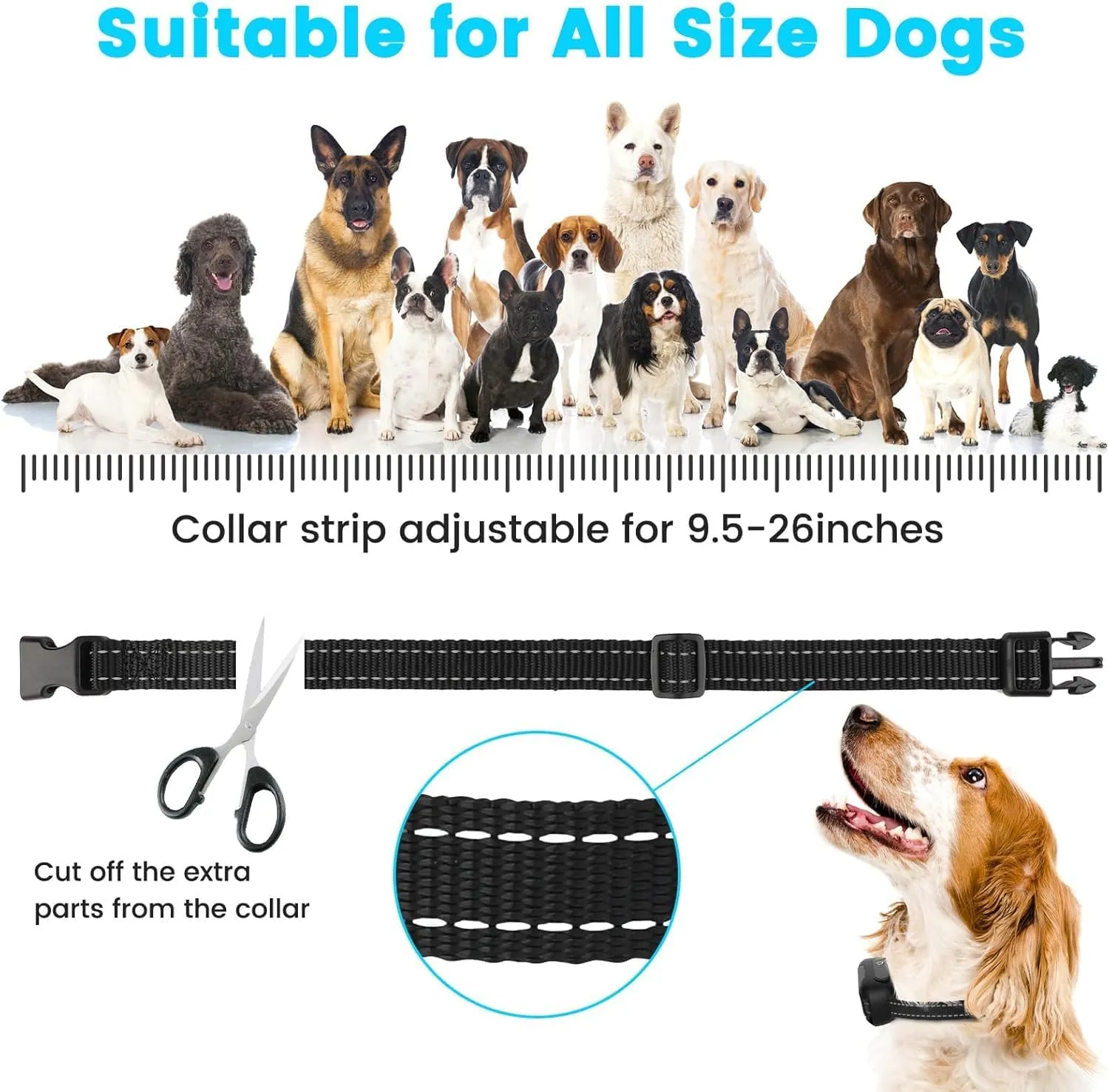 RUXAN Underground Electric Dog Fence System, Electric In Ground Dog Fence Containment System Aboveground Pet Containment System with Waterproof Collar Receivers Covers up to 3/4 Acre