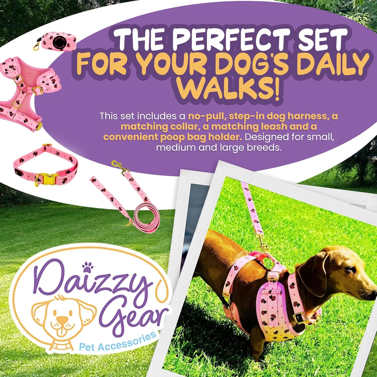 Small Dog Harness Set  No Pull Harness, Leash, Collar & Poop Bag Holder  Pink Red Bees Matching Set with Gold Hardware  Adjustable, Stylish, and Comfortable for Daily Walks- M Size