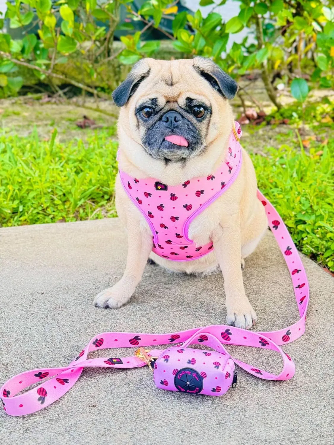 Small Dog Harness Set  No Pull Harness, Leash, Collar & Poop Bag Holder  Pink Red Bees Matching Set with Gold Hardware  Adjustable, Stylish, and Comfortable for Daily Walks- M Size