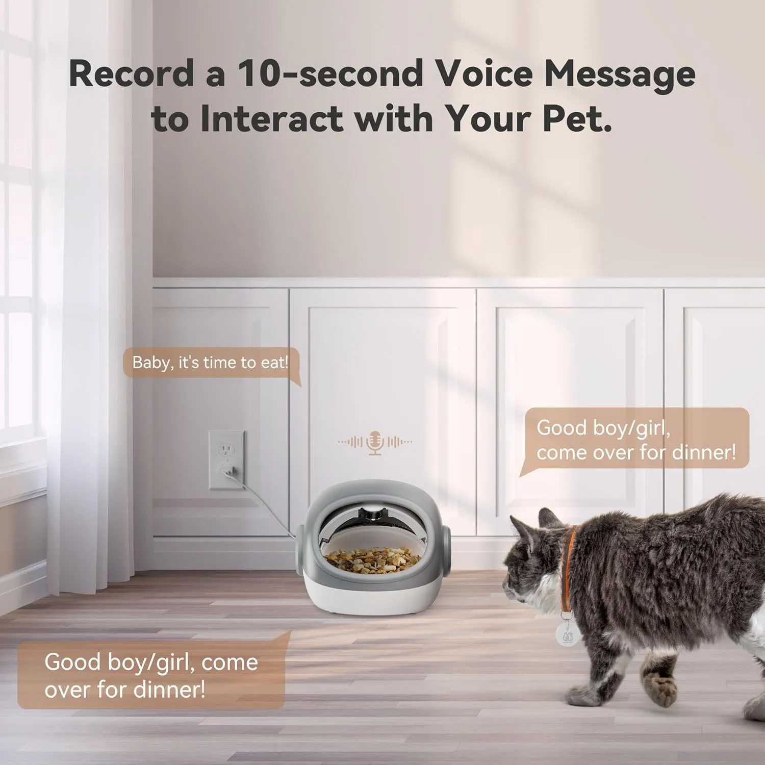 Upgraded RFID Cat Feeder with Collar Sensor  4 Feeding Modes, Anti-Theft Pet Feeder for Multi-Cat Households, Timed Collar-Activated Feeder for Special Diets & Portion Control (Gray)