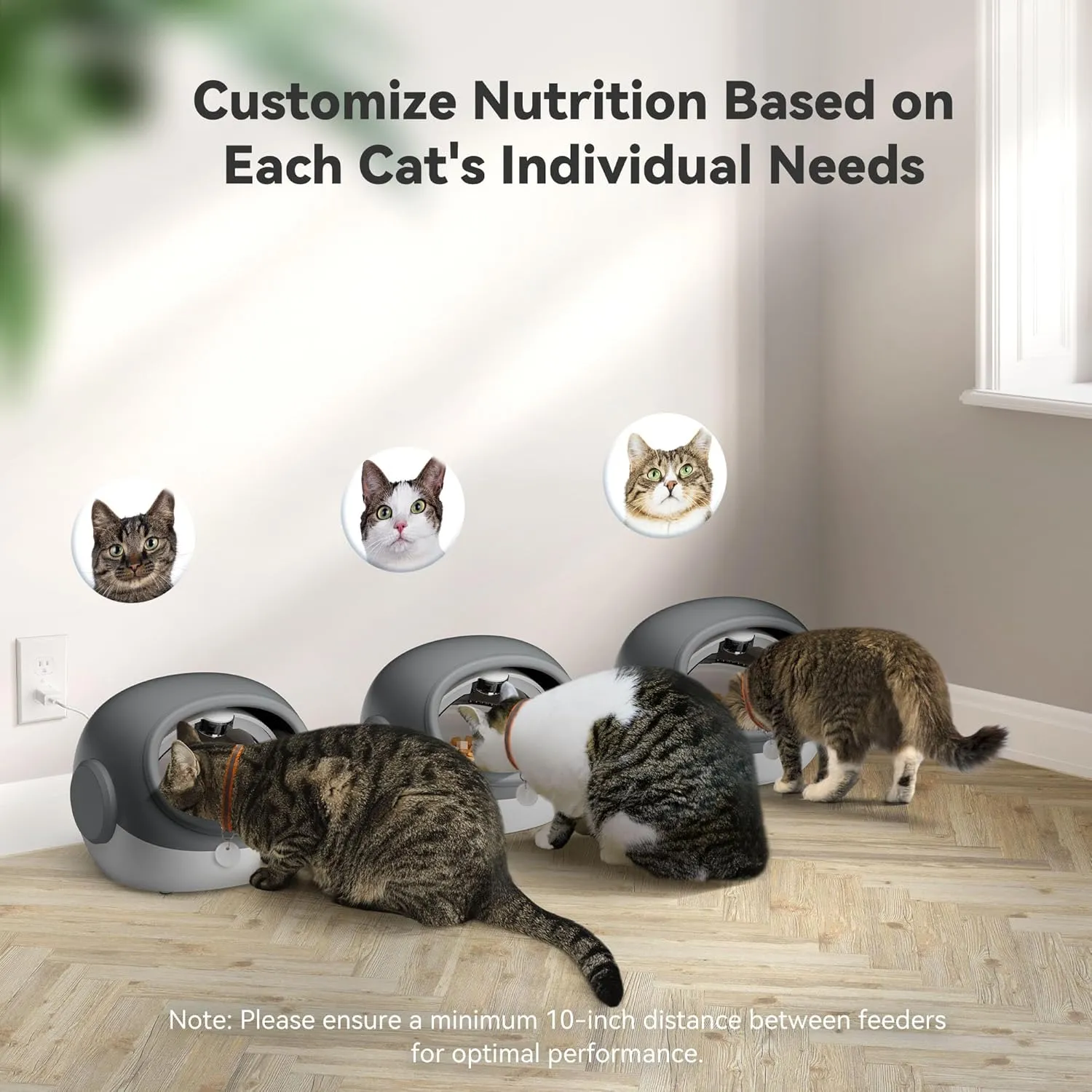 Upgraded RFID Cat Feeder with Collar Sensor  4 Feeding Modes, Anti-Theft Pet Feeder for Multi-Cat Households, Timed Collar-Activated Feeder for Special Diets & Portion Control (Gray)