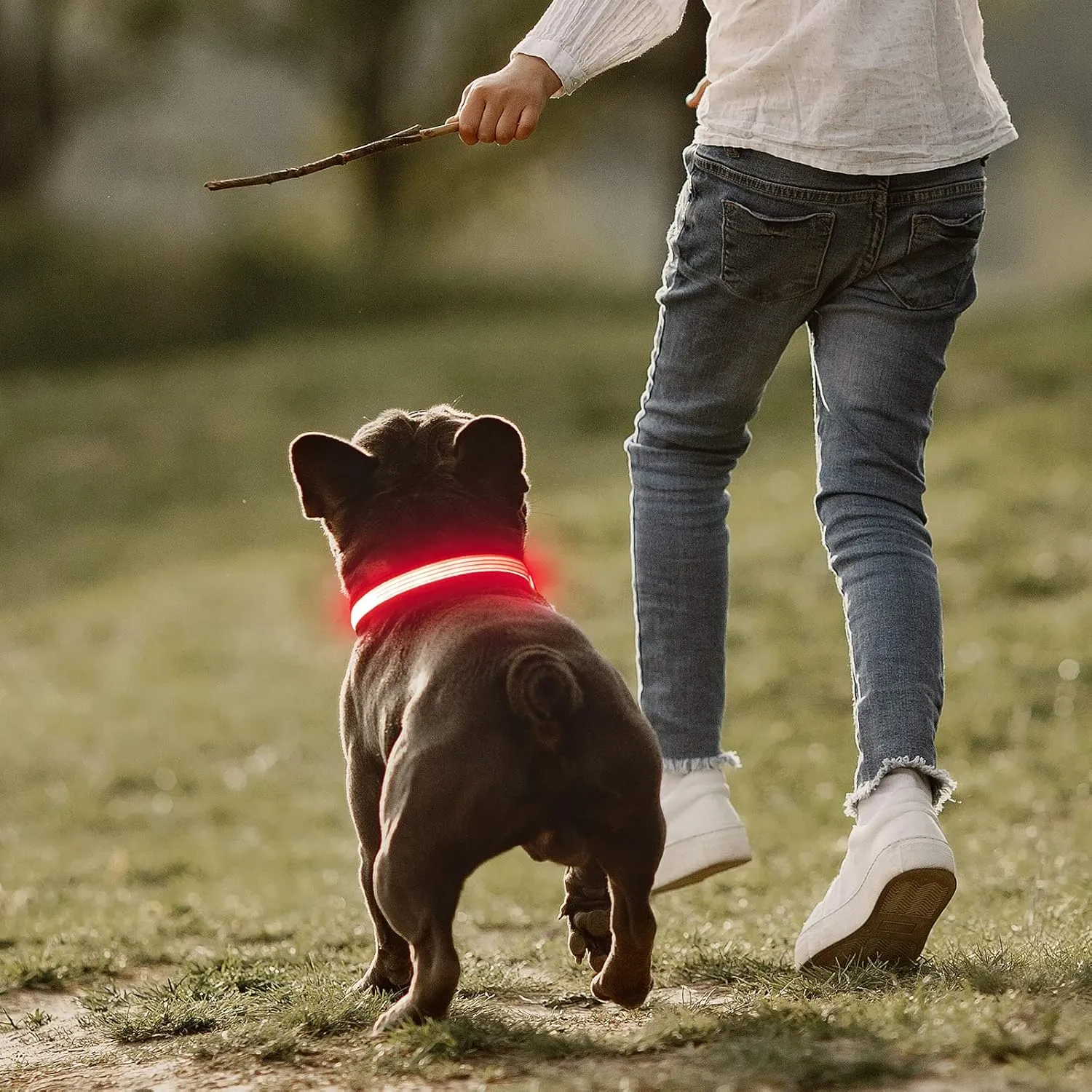 YFbrite Full Adjustbale LED Dog Collar, Full Illuminated Light up Dog Collars, Reflective Dog Collar Light Glowing in The Dark for All Dogs Safety (Large, Pink-2)